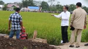 Prabowo Tegaskan Food Estate Jadi Solusi Pangan RI